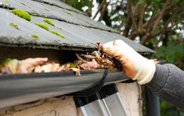 gutter cleaning Southmuir, Angus