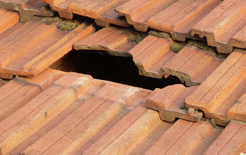 roof repair Southmuir, Angus